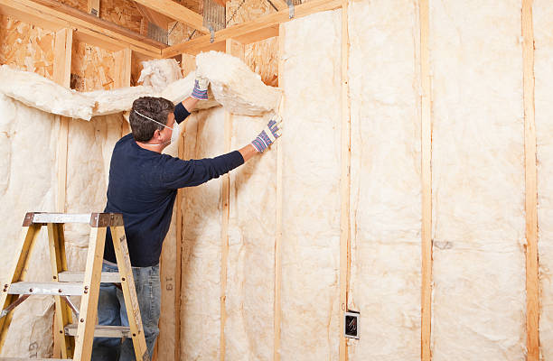 Professional Insulation Services in Lawson, MO